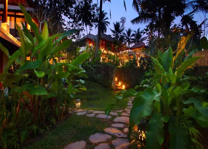 Beingsattvaa Luxury